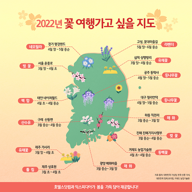  꽃 여행 가고 싶게 만드는 '전국 봄꽃 지도'… 한국인들이 뽑은 국내 벚꽃 명소는?