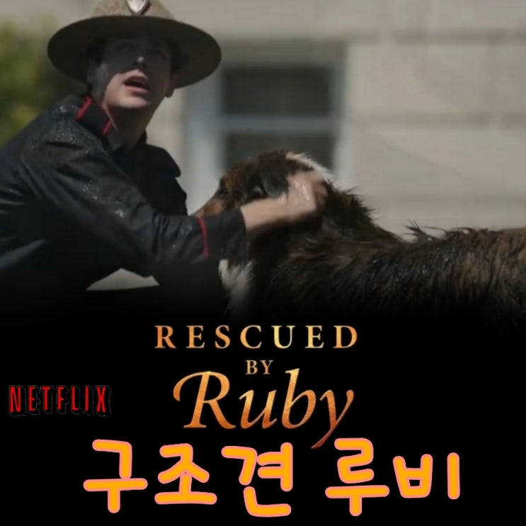 구조견 루비 실화기반의 도서원작  넷플릭스 가족영화 추천