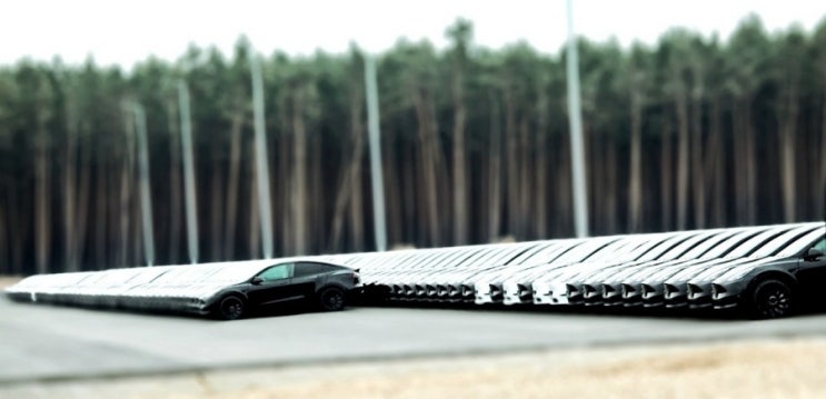  독일 2월 납품: TESLA, 시장 점유율 21%로 선두(VW, KIA, 현대 등)
