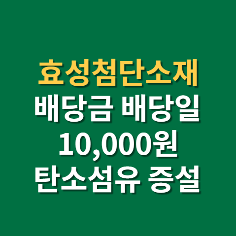  탄소섬유 관련주 효성첨단소재 배당금 지급일 배당일 주가 전망 실적 확인까지(f. 공장 증설)