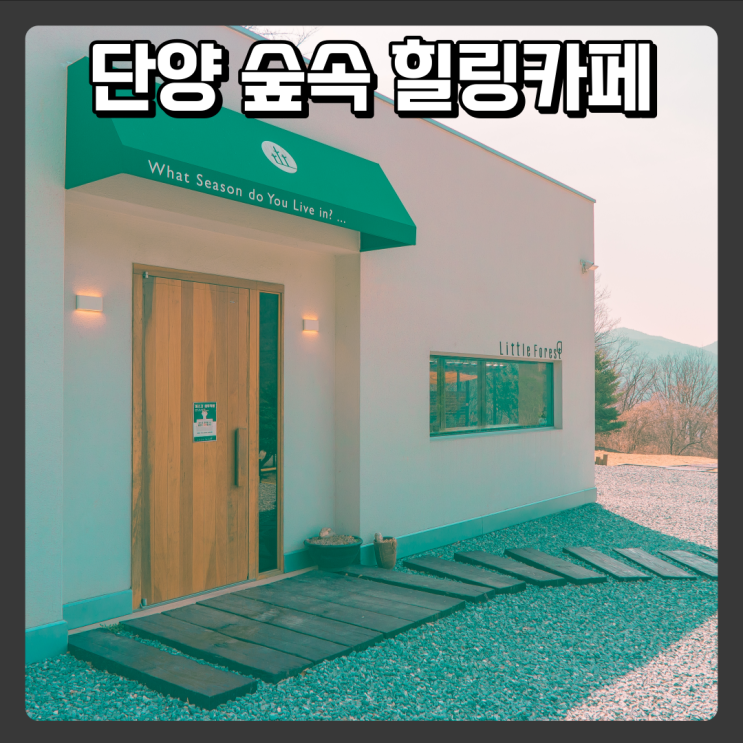  단양 숲속 힐링카페