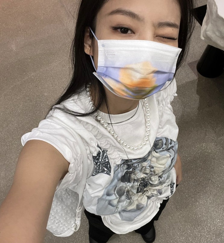  제니 패션 : 고야드 백팩, 604shiring top 반팔 ,스트링팅(jennie ;string ting Dark knight,Alpin backpack)