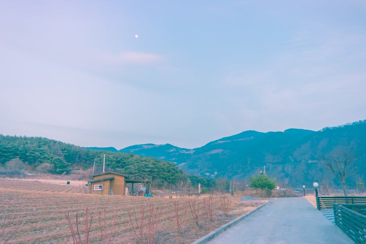  단양 조용하고 깔끔한 게스트하우스