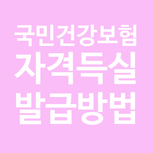  건강보험자격득실 인터넷 발급방법