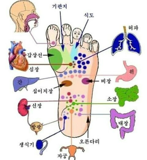  발가락 가위바위보