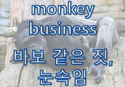  '눈속임 / 의심' 관련 재미있는 영어 표현 1