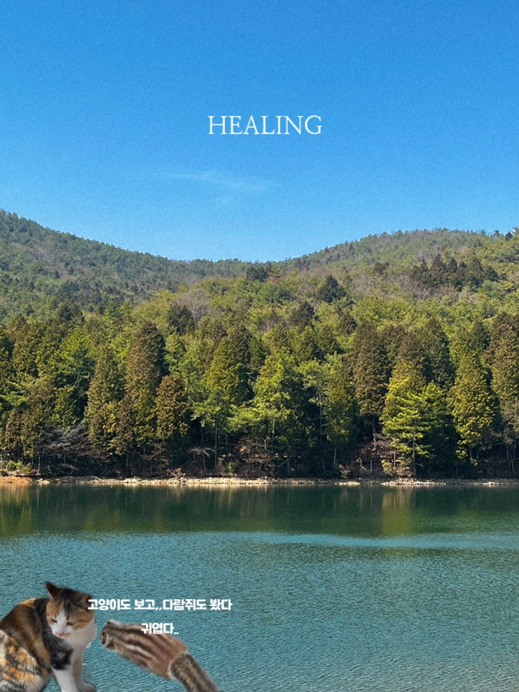  여수 아이와 가볼만한 곳 / 산책 (무장애길) - 미평 봉화산 산림욕장