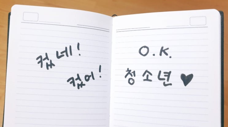  [브런치 에세이] 청소년으로 봐줄게