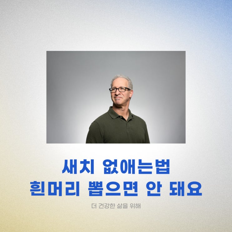 새치 없애는법 흰머리 뽑으면 안 돼요