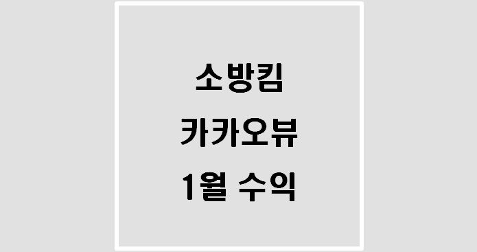 소방킴의 엑시트 카카오뷰 1월 수익(최근 근황)
