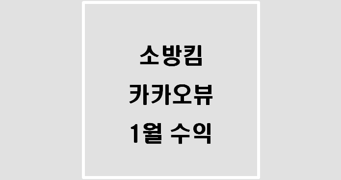  소방킴의 엑시트 카카오뷰 1월 수익(최근 근황)
