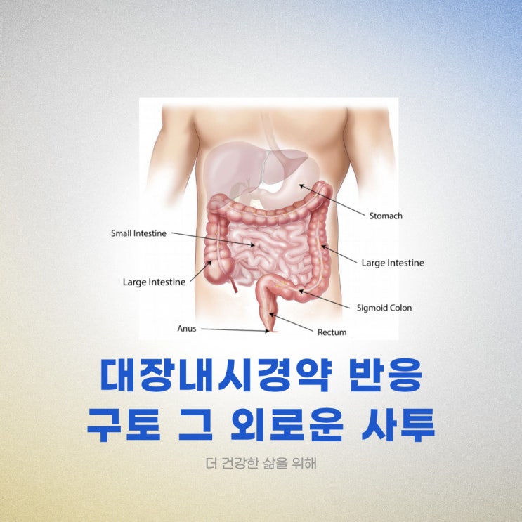 대장내시경약 반응 구토 그 외로운 사투