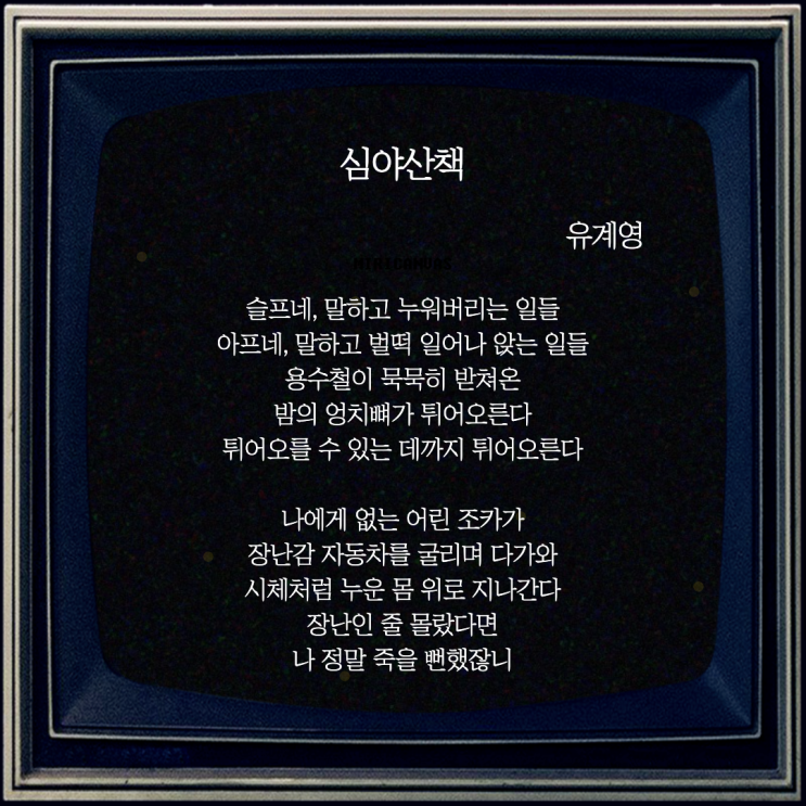  김이설의 소설 '우리의 정류장과 필사의 밤'에 수록된 유계영의 싯구, '심야산책' 전문 감상