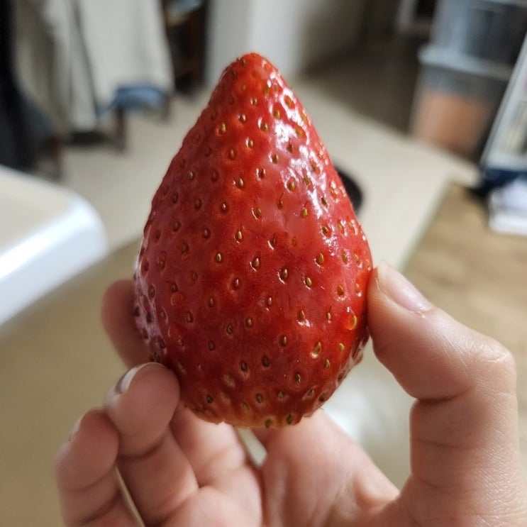  얼렁뚱땅 바쁜 2월 일기장