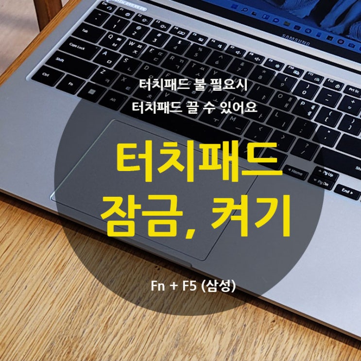  노트북 터치패드 잠금 끄고 켜기 FN 키 (삼성)