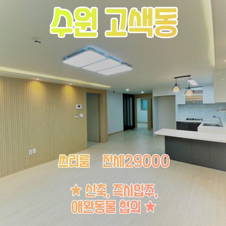  공간가치 #18/수원 고색동/신축 다세대/애완동물 가능/쓰리룸/전세