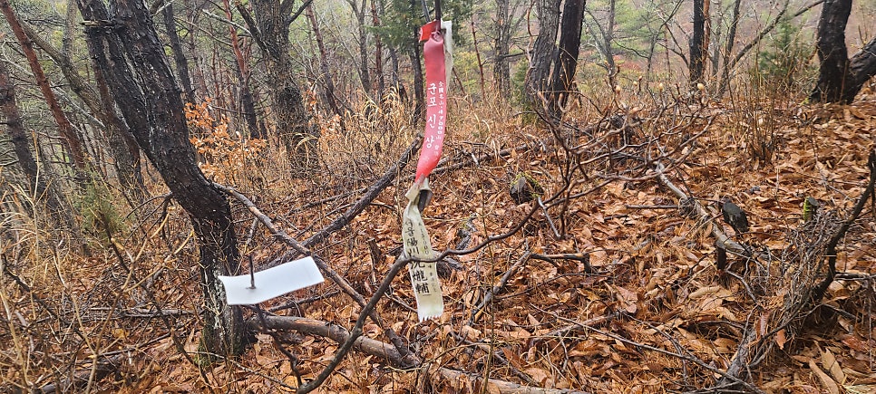 소추산 사진 4