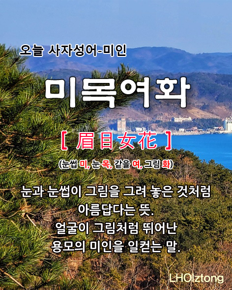  [808] 오늘 사자성어 미목여화(眉目女花)의 뜻은?