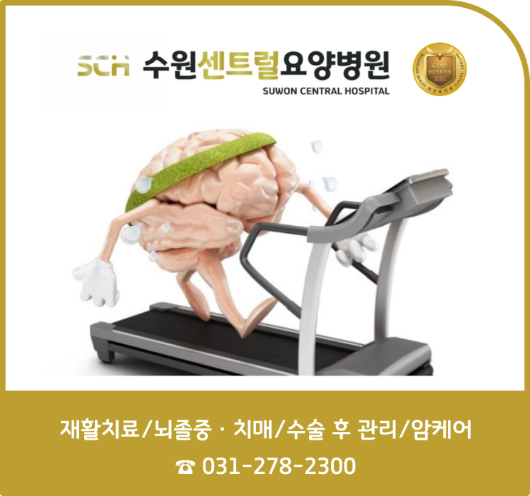  수원 호매실 요양병원 추천, 뇌졸중 재활, 재활과 요양을 동시에! : 치매가 걱정된다면 뇌를 운동시켜 주세요.