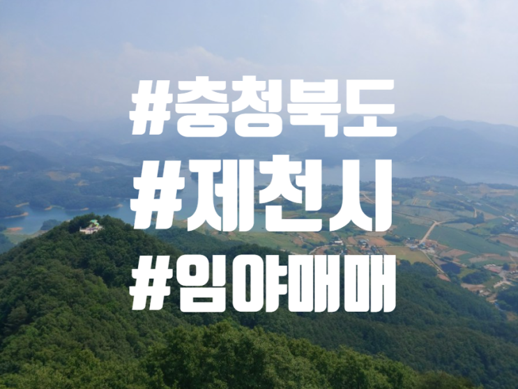  충북 제천 연박리 임야 매매