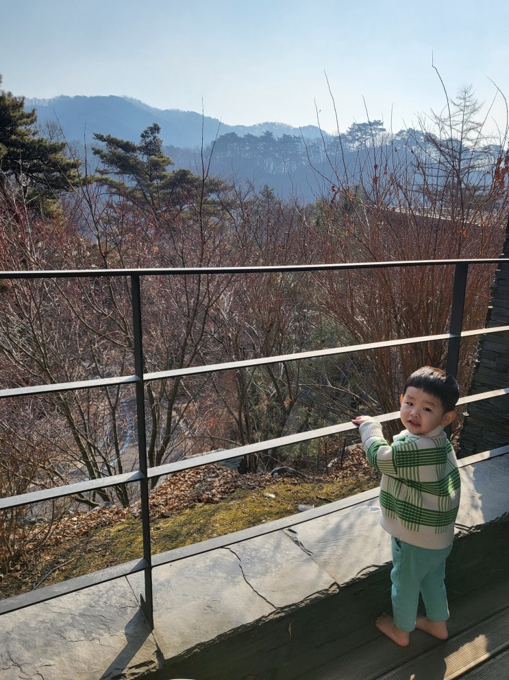  가족여행 : 제천 포레스트 리솜 S30 빌라형