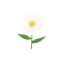  지식과 지혜(Knowledge and wisdom)