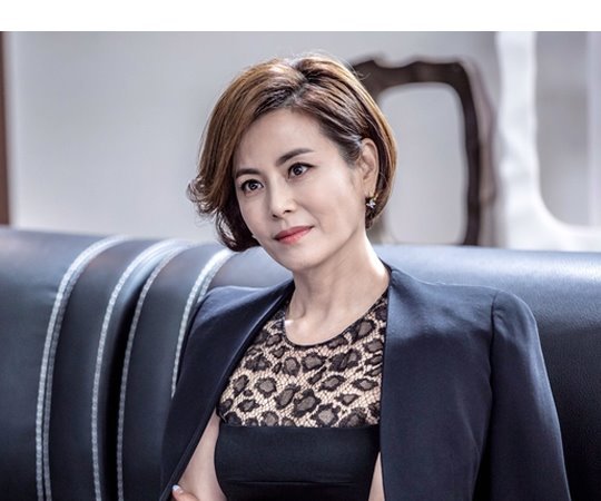  견미리 배우 나이 학력 고향 프로필