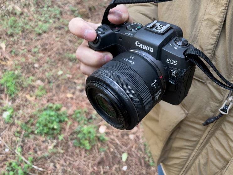  캐논 EOS RP + RF35mm F1.8 MACRO IS STM 6개월 후기