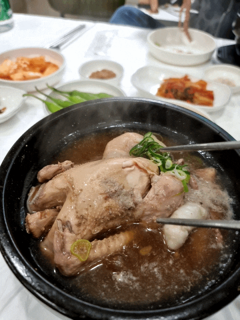  [완주] 금산 한방삼계탕