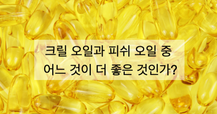  크릴 오일과 피쉬 오일 중 어느 것이 더 좋은 것인가?