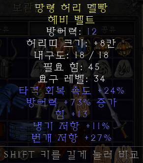  레어 벨트 옵션 정보