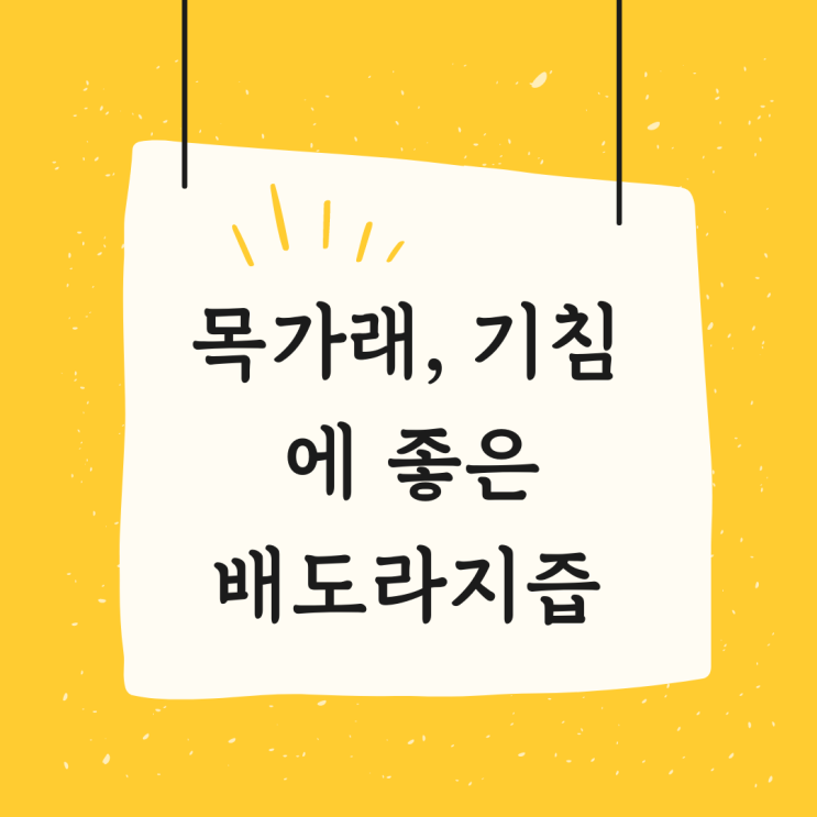  목가래와 기침에 좋은 배도라지즙
