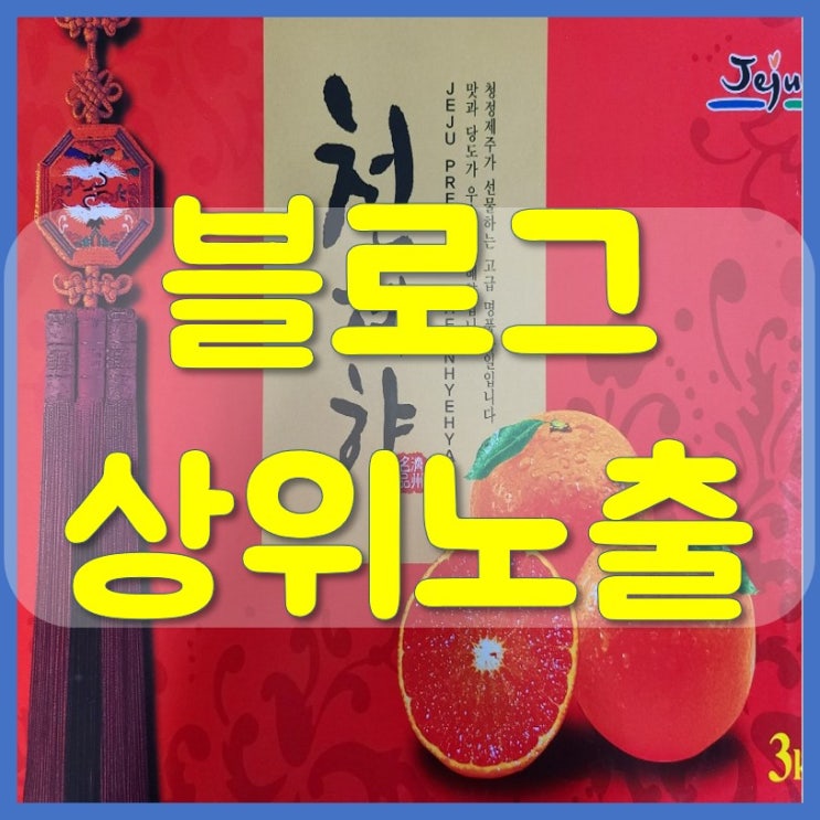  블로그 지수 높이는 방법 상위노출 이게 정답입니다!