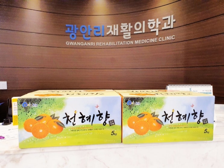  지난주 환자분들의 선물- 황금붕어빵, 천혜향 두 박스, 그리고 송이차
