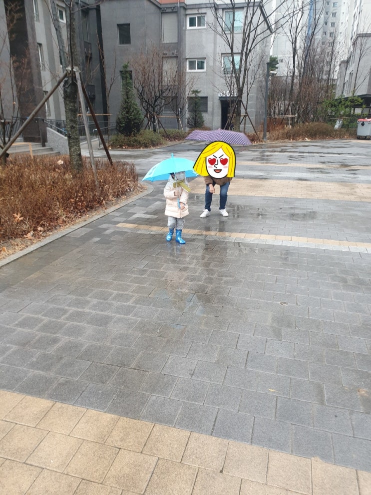  비오는 날의 산책