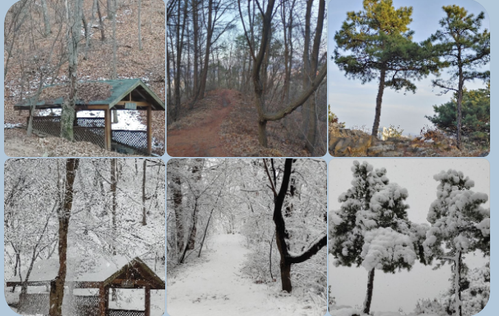 오늘과 어제, 망현산의 조화로운 변화 오늘과 어제, 망현산의 조화로운 변화