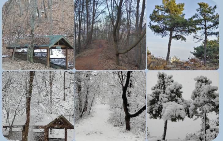 오늘과 어제, 망현산의 조화로운 변화