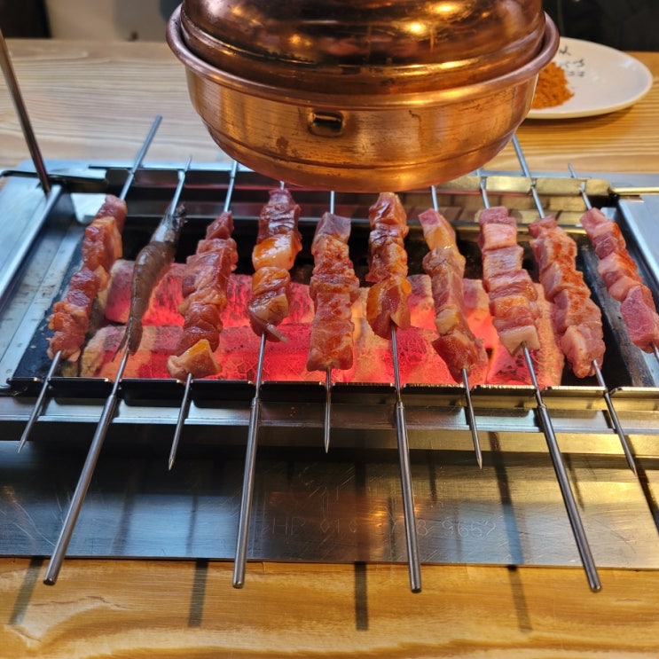  반려묘 아르마니에게 블루베리와 사과를?(해성양꼬치) | 일상일기록 | 고양이집사 | D+174