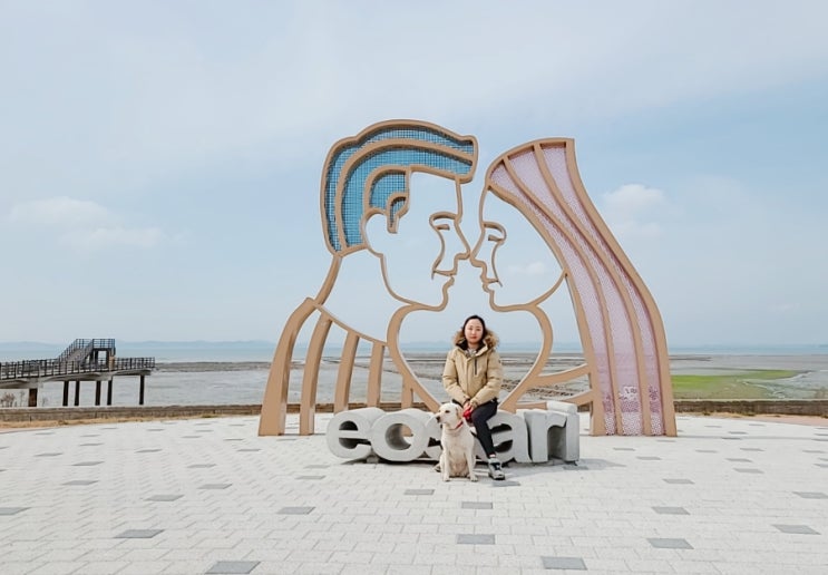래브라도 리트리버 밤이의 서산 여행 어사리노을공원 돌꽃펜션 래브라도 리트리버 밤이의 서산 여행 어사리노을공원 돌꽃펜션