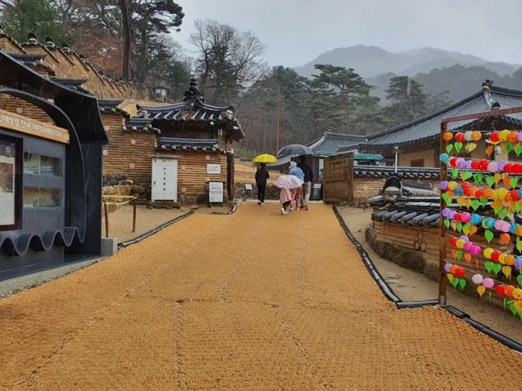  2022년3월13일 합천 가야산 해인사 여행 - 팔만대장경(고려대장경) 대장경판전을 탐방하다 -3-
