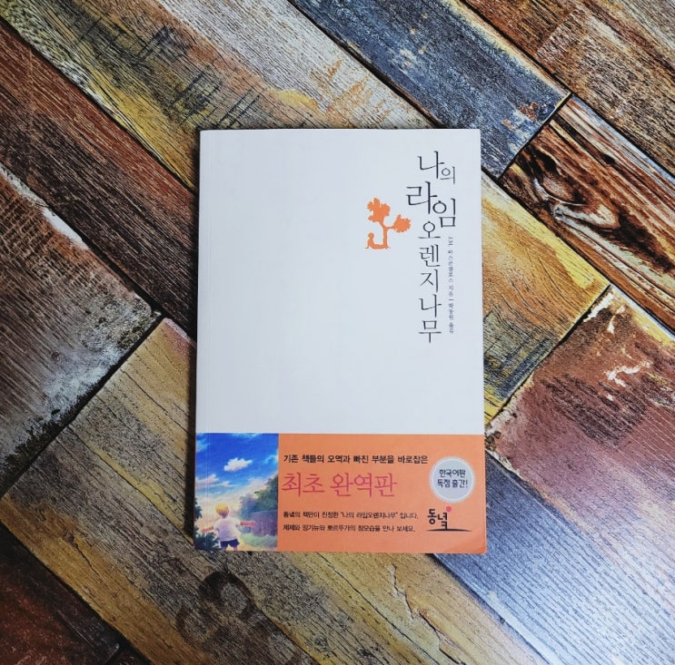  나의 라임 오렌지나무 (5살 꼬마 제제의 슬프고 아름다운 동화) J. M. 바스콘셀로스(호세 바스콘셀로스) 출판사 동녘  2010.04.15 초등 6학년 필독서 성장소설 베스트셀러