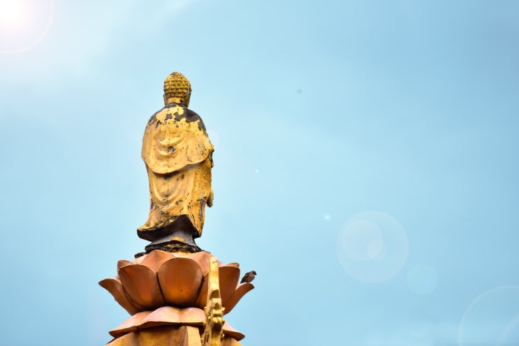  무문관 제18칙 - 동산삼근(洞山三斤) 동산의 마 삼 근
