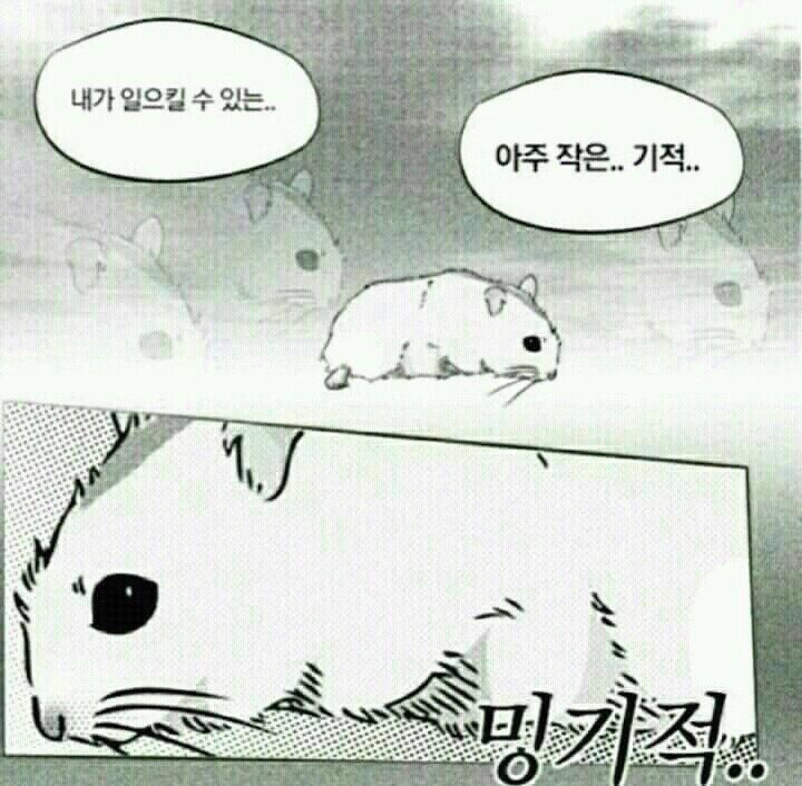 밍기적은 내가 할 수 있는 유일한 기적