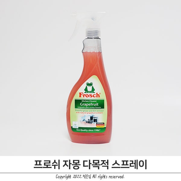 프로쉬 다목적 클리너 주방 고민 기름때 제거에 탁월 프로쉬 다목적 클리너 주방 고민 기름때 제거에 탁월