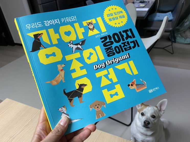  강아지 종이접기, 어린이와 어른 모두 즐거운 책!