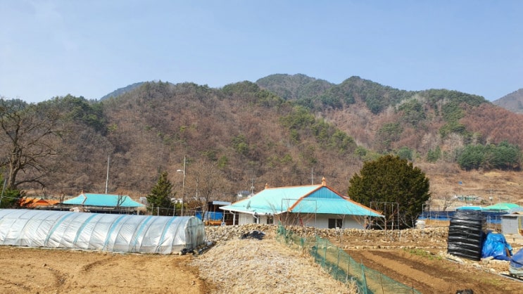  [영월문화]어르신인생이야기/손님이라는 병 알아?/복숭아꽃에 든 아들의 혼