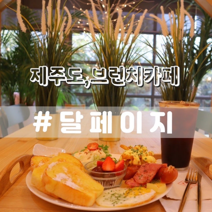  서귀포카페 달페이지/ 제주도브런치 서귀포브런치카페 추천