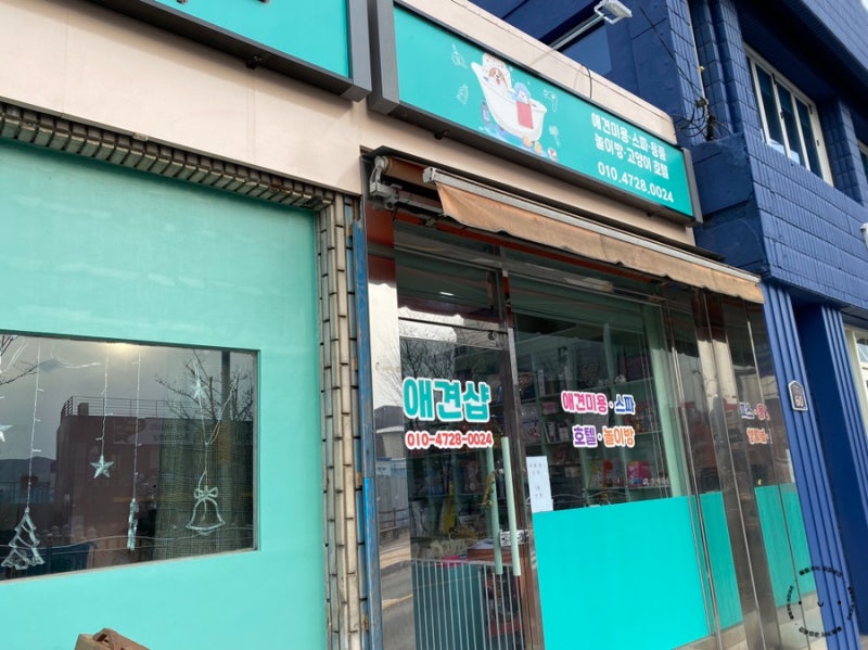 사진 8