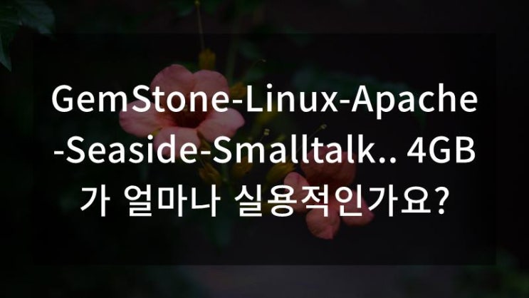  GemStone-Linux-Apache-Seaside-Smalltalk.. 4GB가 얼마나 실용적인가요?