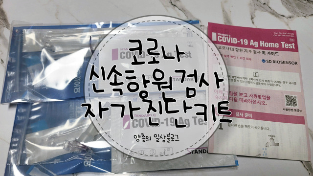  숙련자의 채취 방법 꿀팁이 있는 코로나19 신속 항원 검사 자가 진단키트